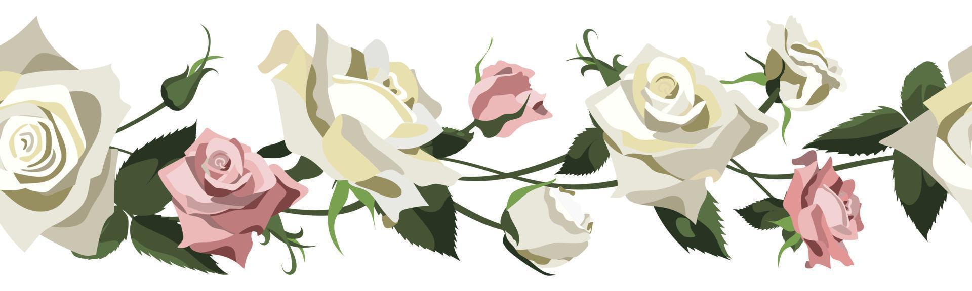 fondo floral vectorial con rosas blancas y rosas, capullos y hojas. diseño de borde aislado sobre fondo blanco vector