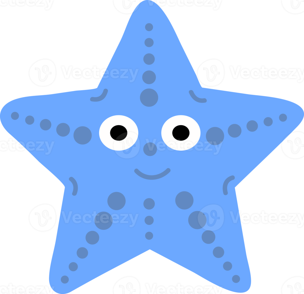 Hand drawn style ocean Starfish png