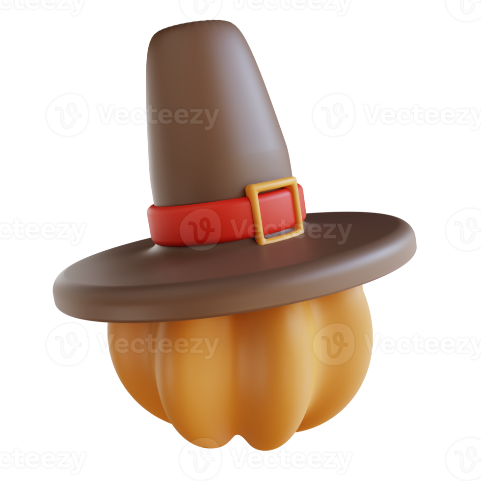 3D Illustration pumpkin and thanksgiving hat png