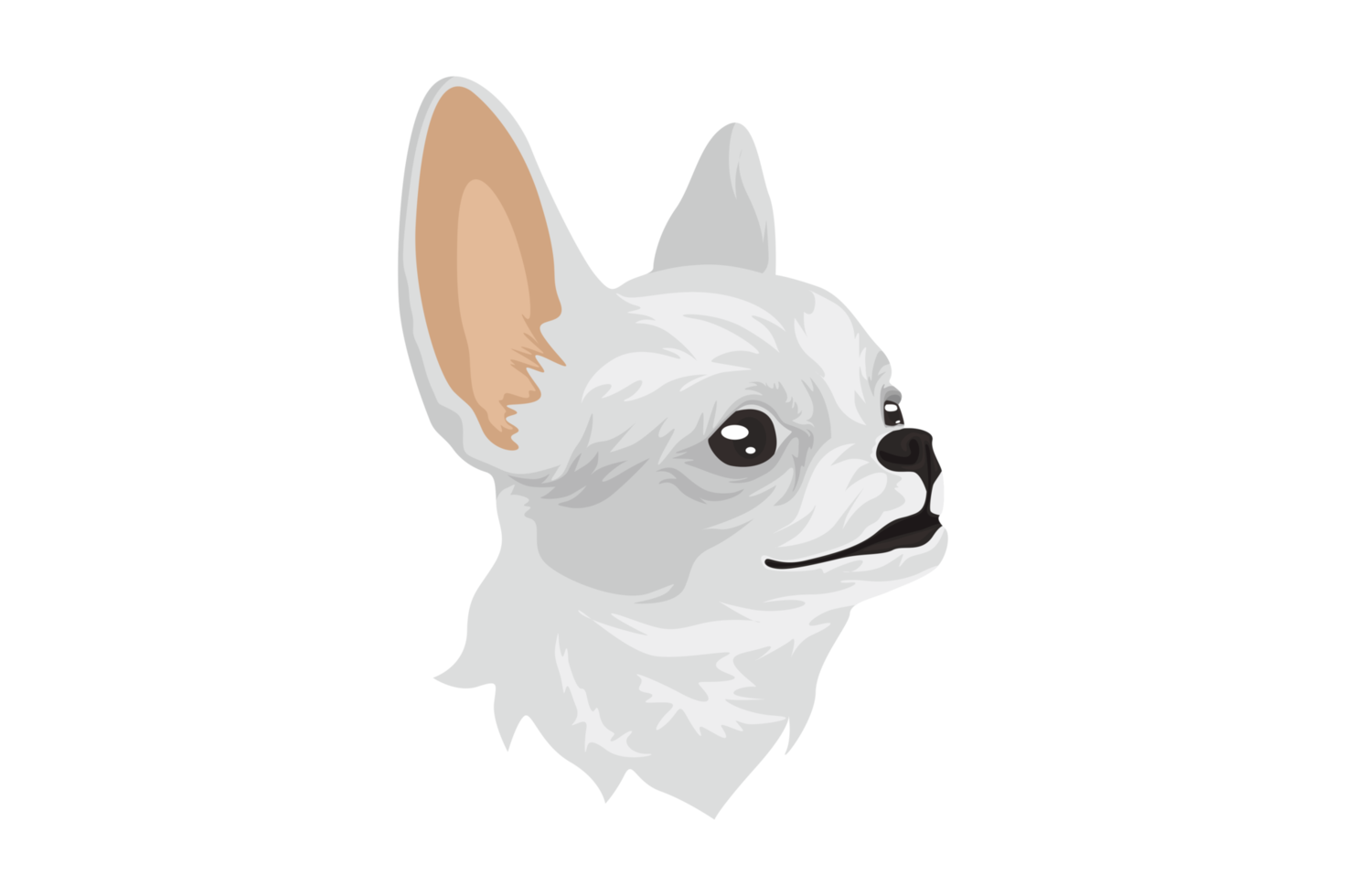 Cute White Chihuahua Dog png