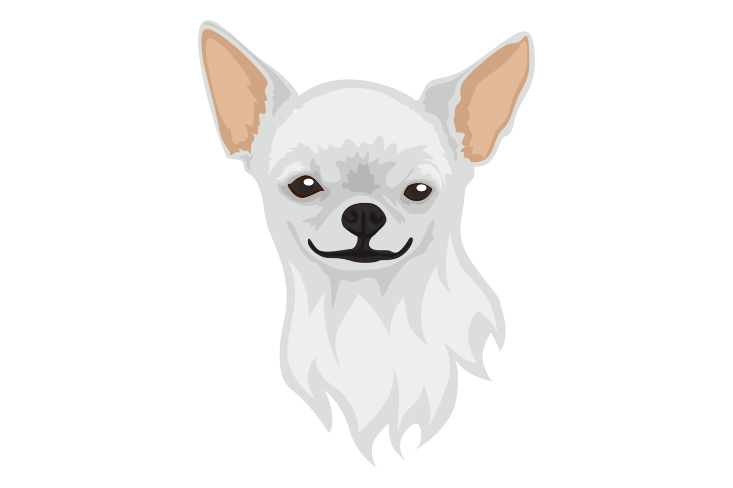 lindo perro chihuahua blanco png