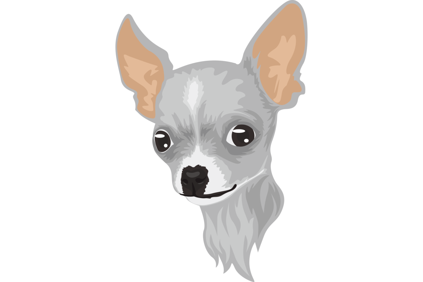 schattig wit chihuahua hond png