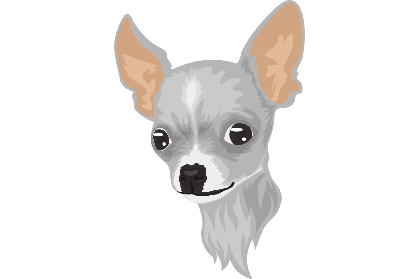 süßer weißer Chihuahua-Hund png