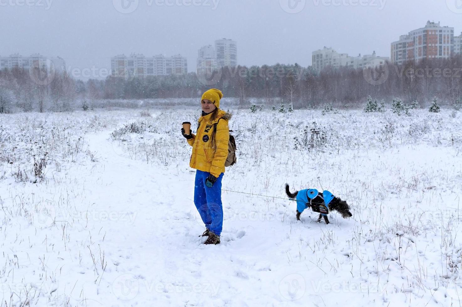 Young woman in yellow jacket with cup of coffee walking mixed breed Bedlington Whippet dog in blue warm suit on winter snowy day photo
