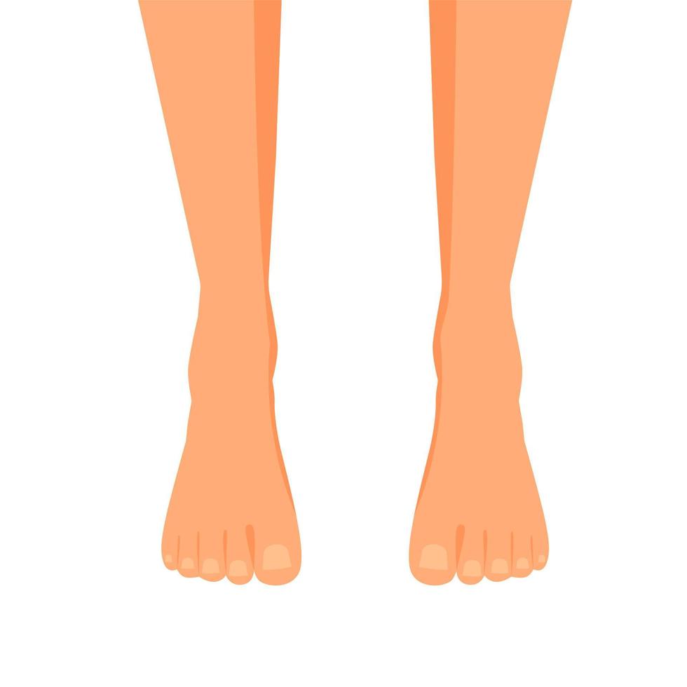 Female legs barefoot, side view. Graceful bare female feet. Vector isolated illustration on white background
