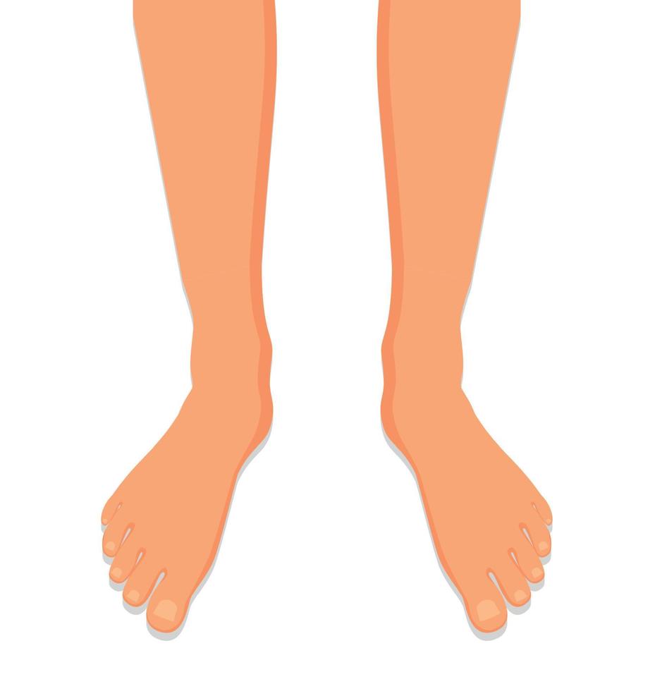 piernas femeninas descalzas, vista lateral. elegantes pies descalzos femeninos. ilustración vectorial aislada sobre fondo blanco vector