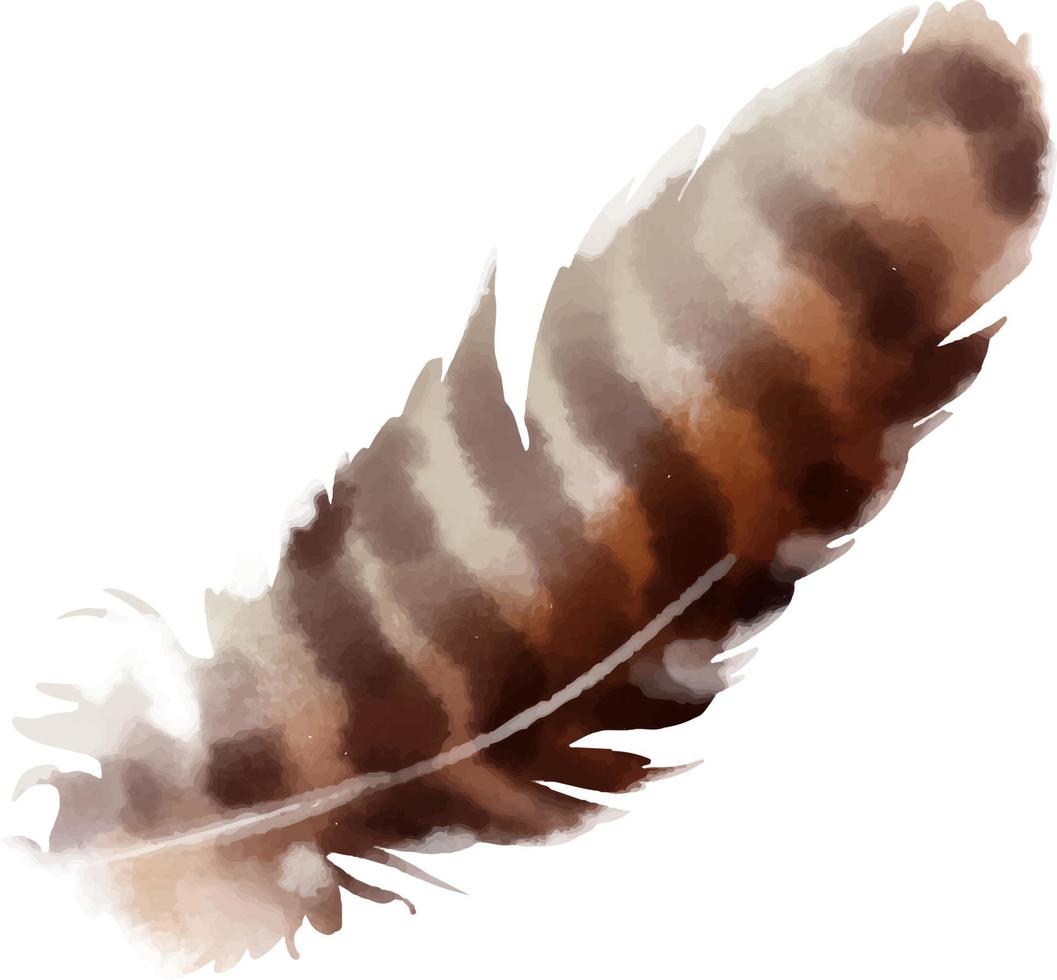 dibujo vectorial de acuarela de plumas de pájaro hecho a mano. plumas de aves realistas. plumas de colores detalladas de diferentes aves. aislado sobre fondo transparente. ilustración de pluma de ave vector