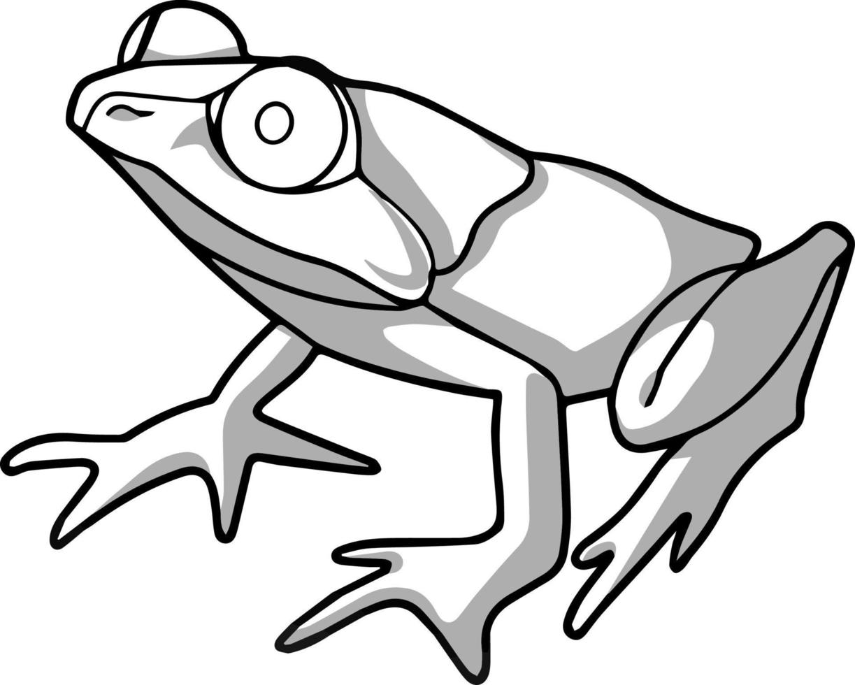 Sketch of a frog. Vector drawing in shades of gray. For coloring and design books.