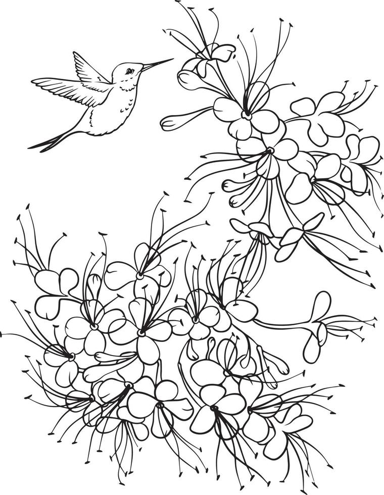 Calibri over flowers Sketch. Black and white vector drawing. For coloring books and for design
