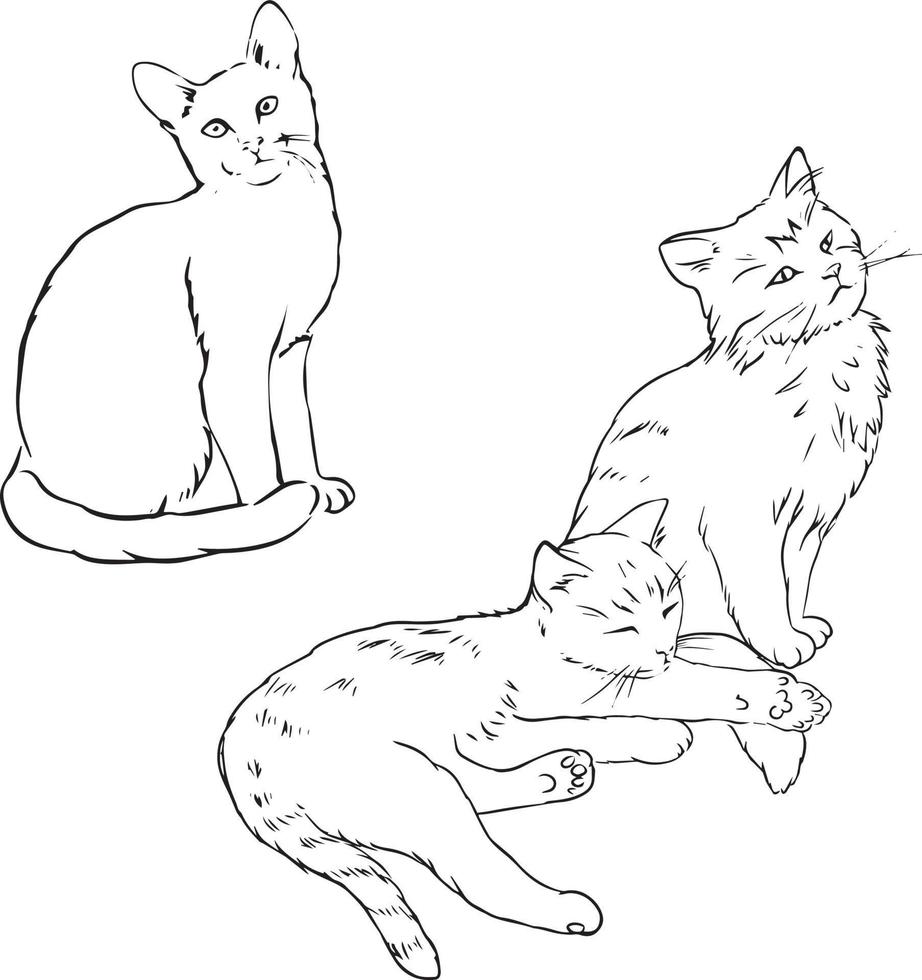 Set of cats sketch. Black and white vector drawing. For coloring books and for design.