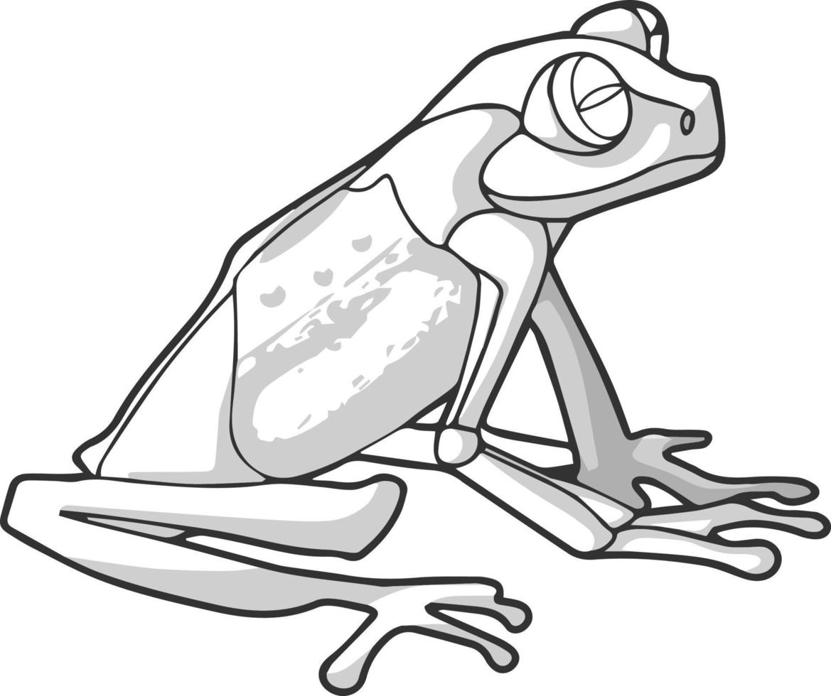 Sketch of a frog. Vector drawing in shades of gray. For coloring and design books.