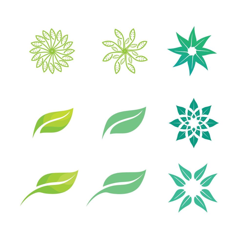 vector de plantilla de concepto de logotipo de semillas de plantas.logotipo de semillas en crecimiento.plantilla de diseño de ilustración de logotipo de vector de crecimiento de semillas