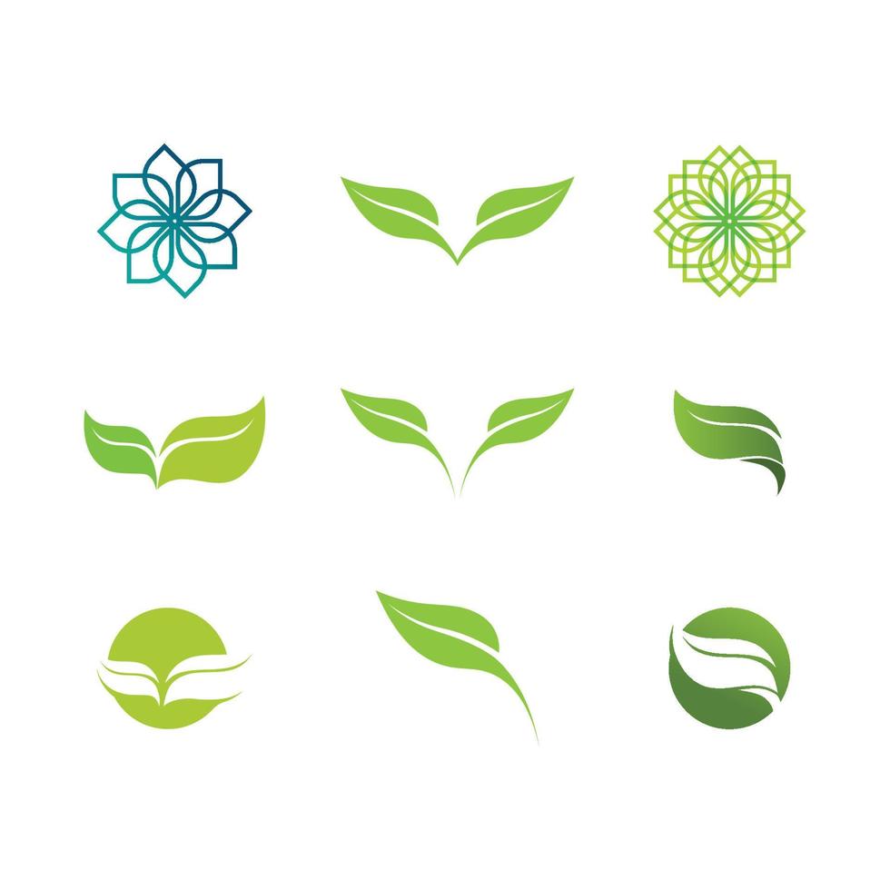 vector de plantilla de concepto de logotipo de semillas de plantas.logotipo de semillas en crecimiento.plantilla de diseño de ilustración de logotipo de vector de crecimiento de semillas