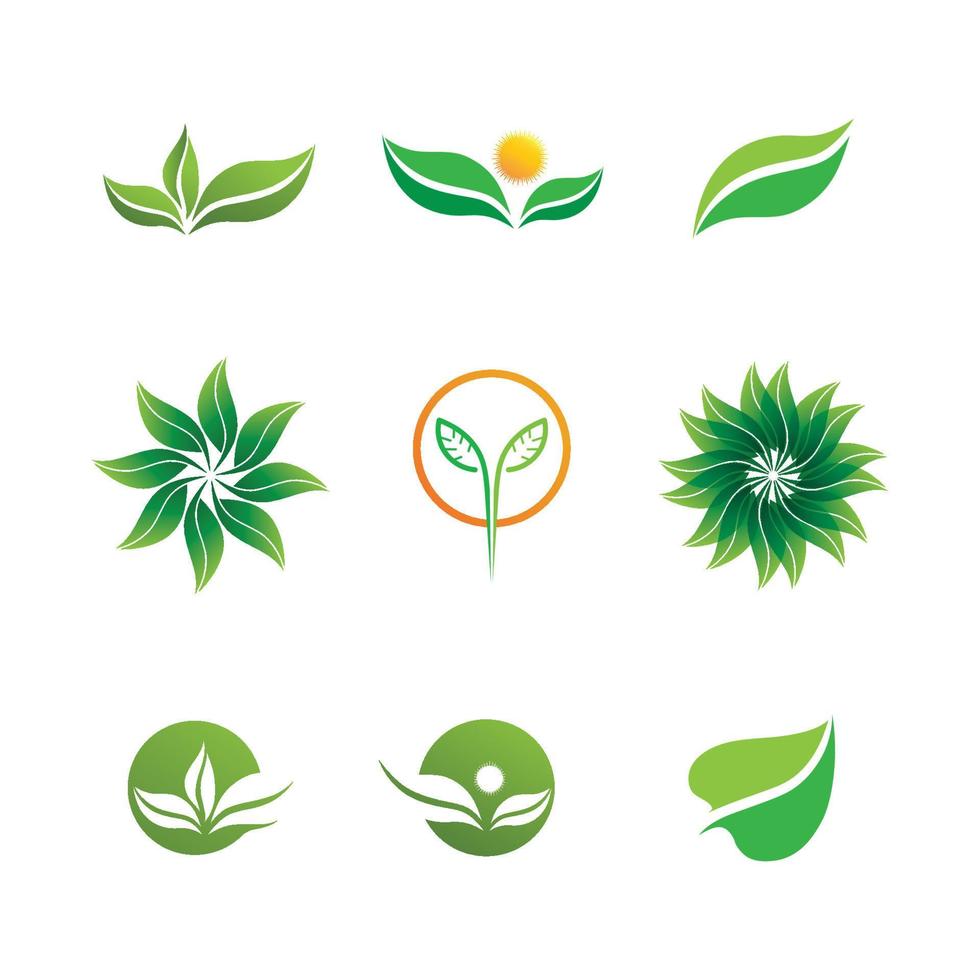 vector de plantilla de concepto de logotipo de semillas de plantas.logotipo de semillas en crecimiento.plantilla de diseño de ilustración de logotipo de vector de crecimiento de semillas