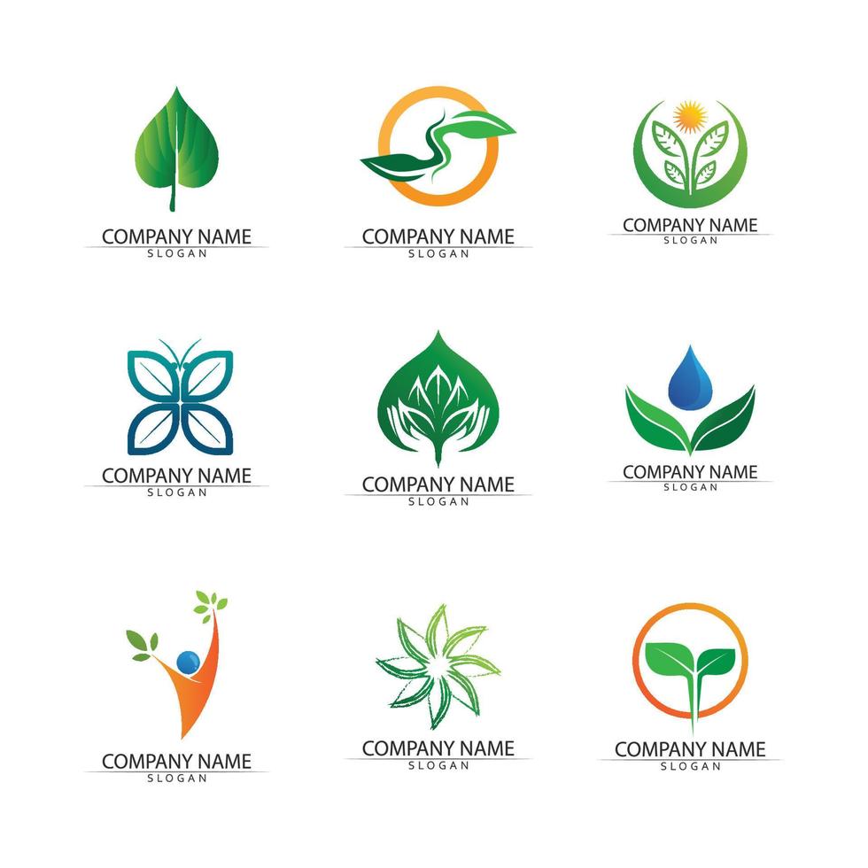 vector de plantilla de concepto de logotipo de semillas de plantas.logotipo de semillas en crecimiento.plantilla de diseño de ilustración de logotipo de vector de crecimiento de semillas