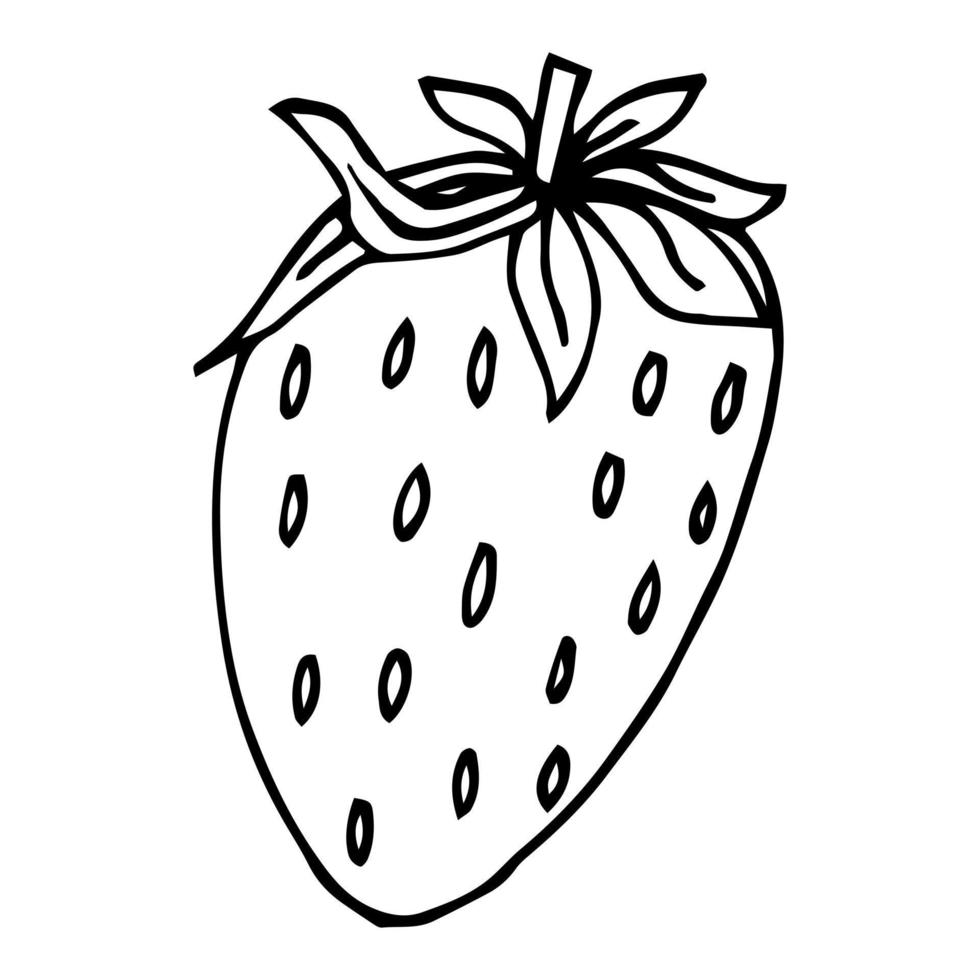 Strawberry hand drawn outline doodle icon. Vector sketch illustration of healthy berry - fresh raw strawberry for print, web, mobile and infographics isolated on white background.