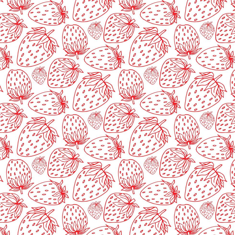 Strawberry Patterns, Red strawberry, Strawberry Backgrounds vector