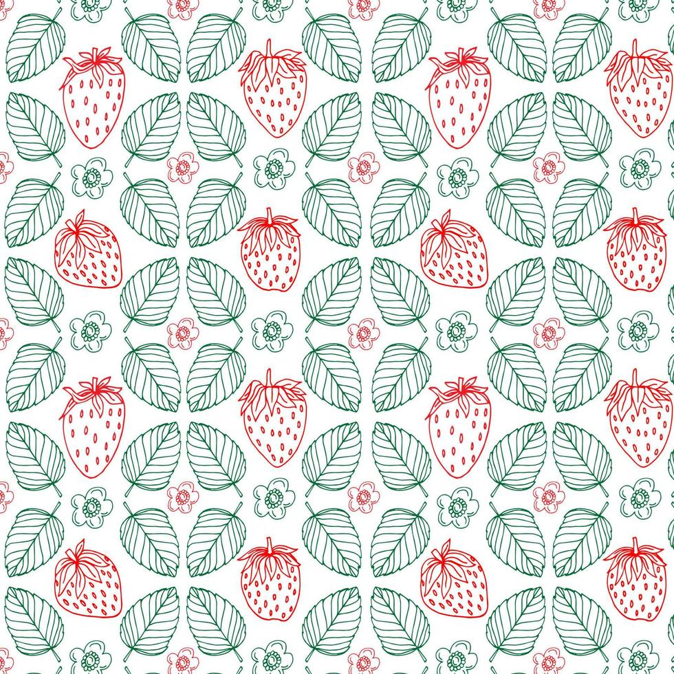 Strawberry vector pattern drawing. Isolated hand drawn berry and leaf on white background. Summer fruit engraved style illustration. Detailed vegetarian food.