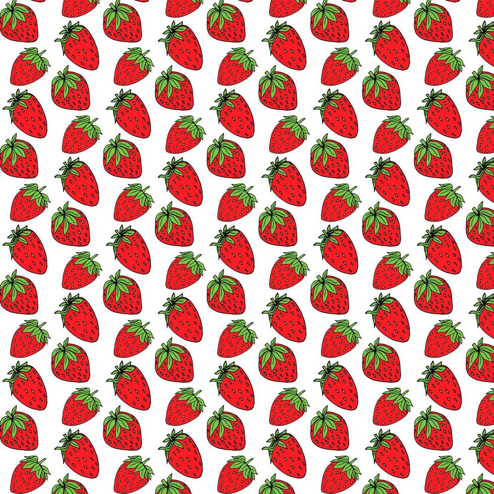 Strawberries hand drawn pattern background vector