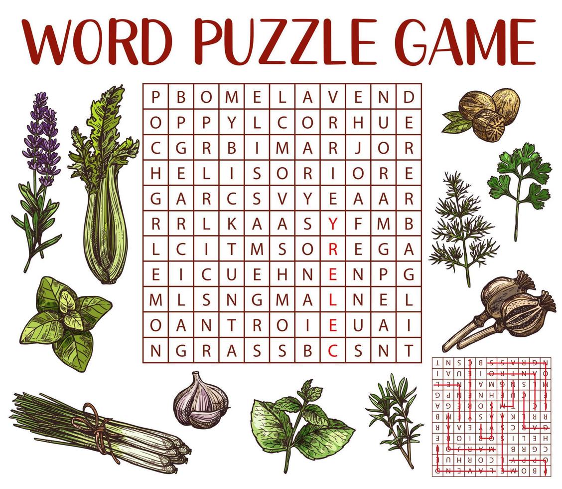 Spices, herbs, seasonings sketch, word search game 13927893 Vector Art
