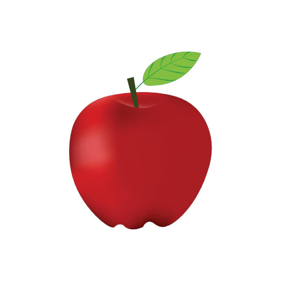 ilustración vectorial de manzana realista vector