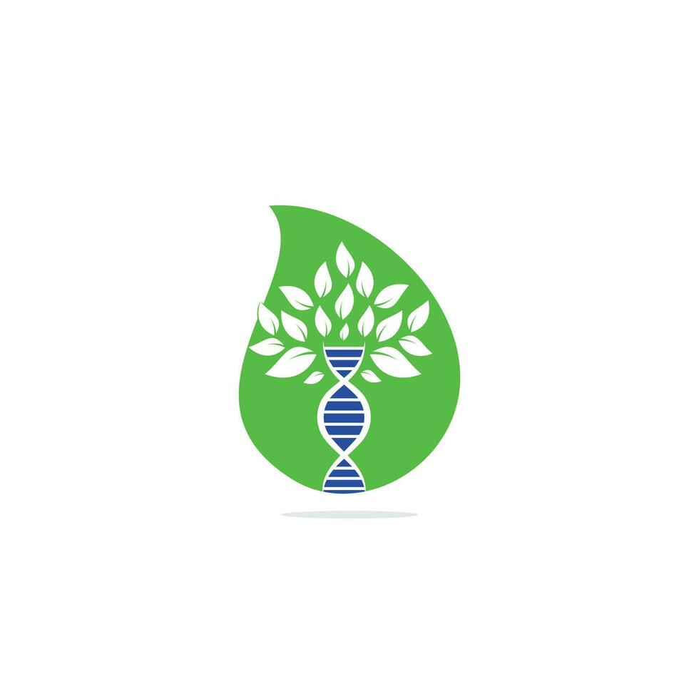 diseño de logotipo vectorial de concepto de forma de gota de árbol de adn. icono genético de adn. ADN con diseño de logotipo vectorial de hojas verdes. vector