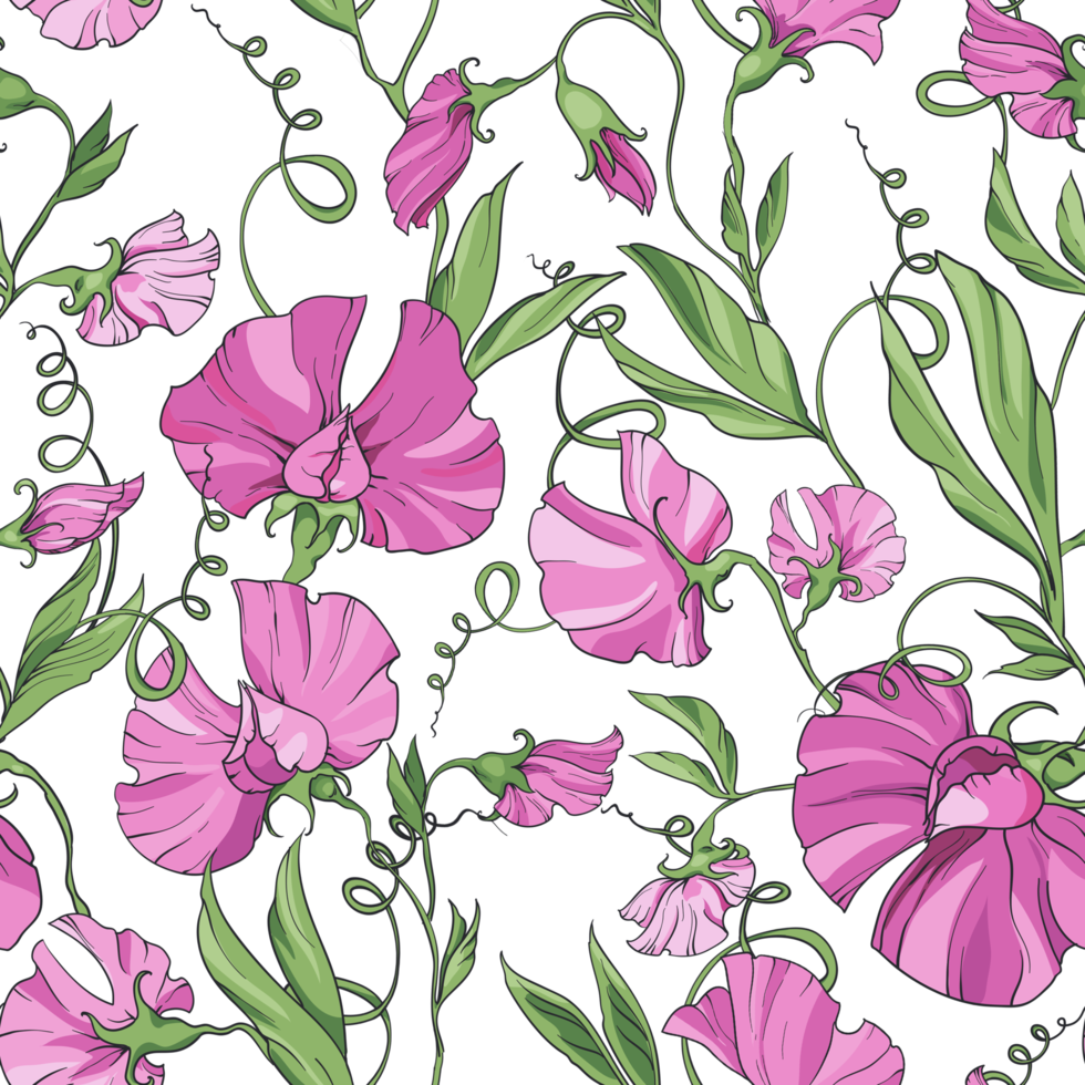 Pink flowers sweet pea , floral seamless pattern. Pattern for fabric, wrapping paper, web pages, invitations, cards png