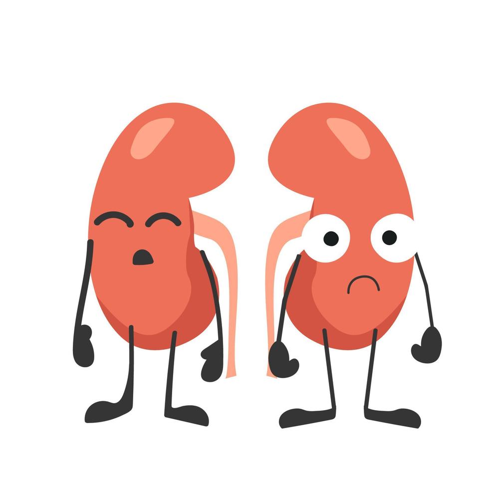 Human kidneys with eyes. Sad kidneys. Organ with emotions, cartoon style. Vector illustration