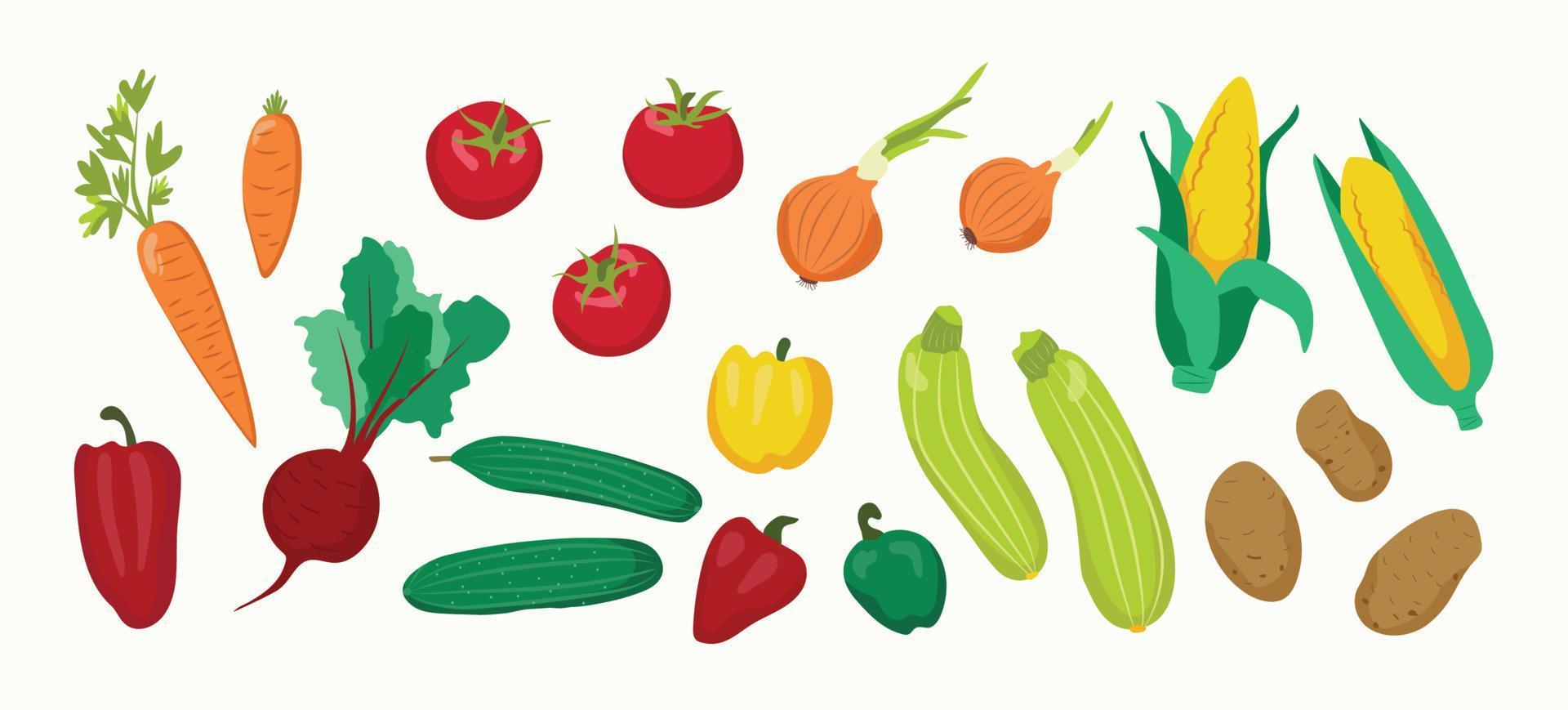 verduras. colección de dibujos animados de vectores