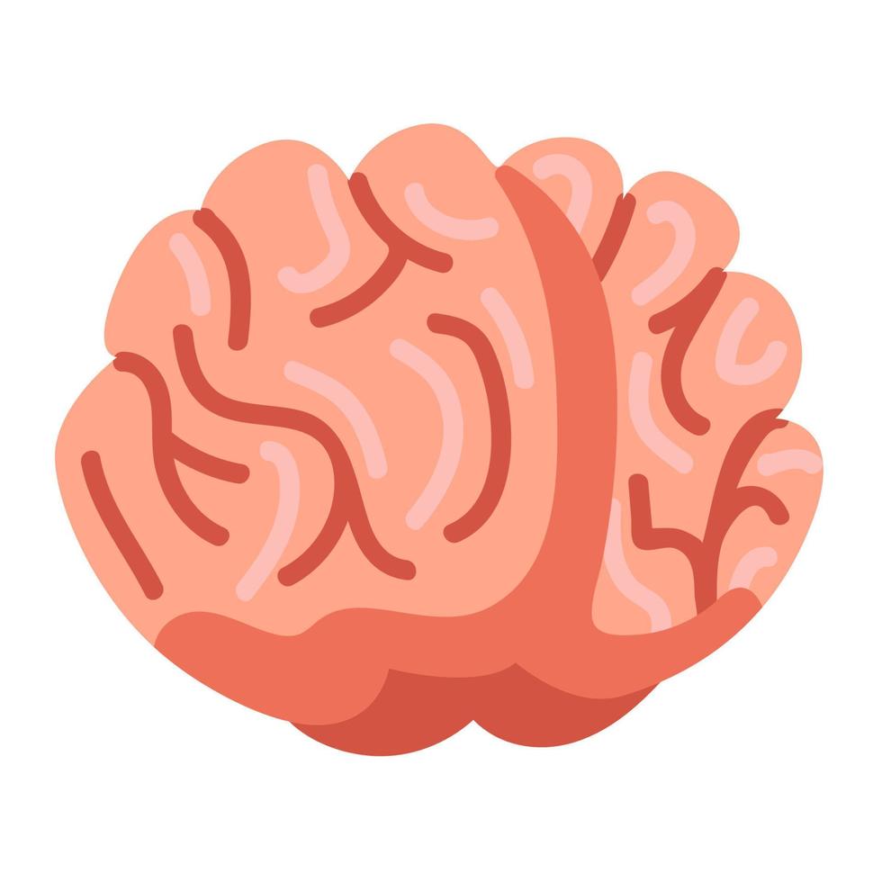 cerebro humano. órgano de dibujos animados. ilustración vectorial vector