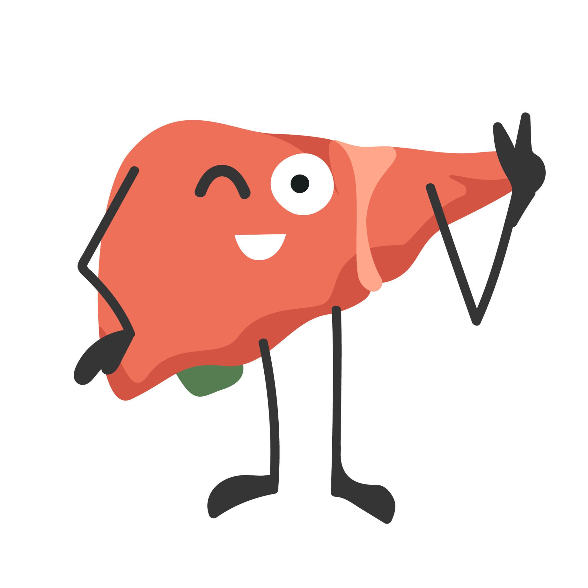 Human liver with eyes.Healthy liver. Organ with emotions, cartoon style