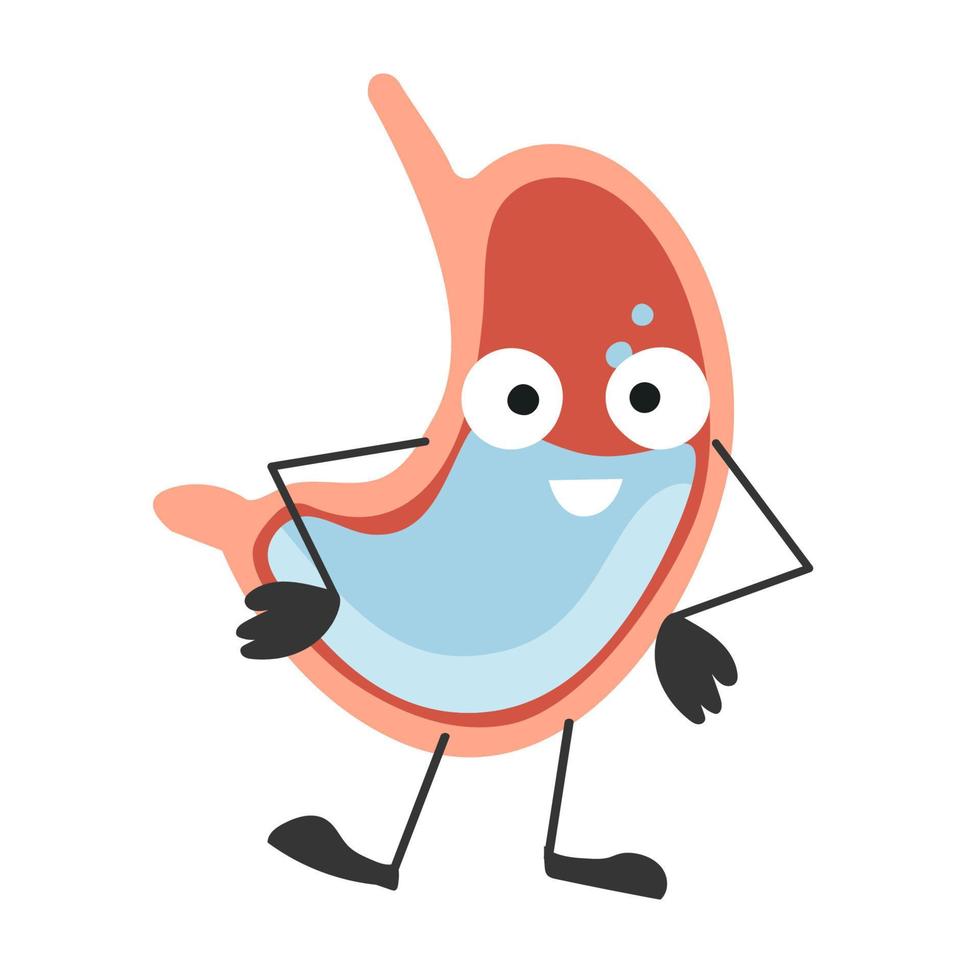 Human stomach with eyes.Healthy stomach. Organ with emotions, cartoon style. Vector illustration