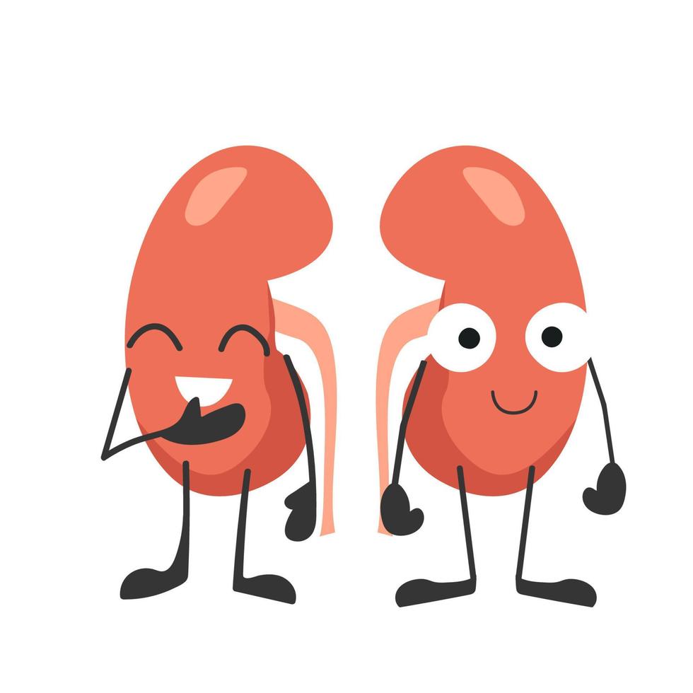 Human kidneys with eyes. Happy kidneys. Organ with emotions, cartoon style. Vector illustration