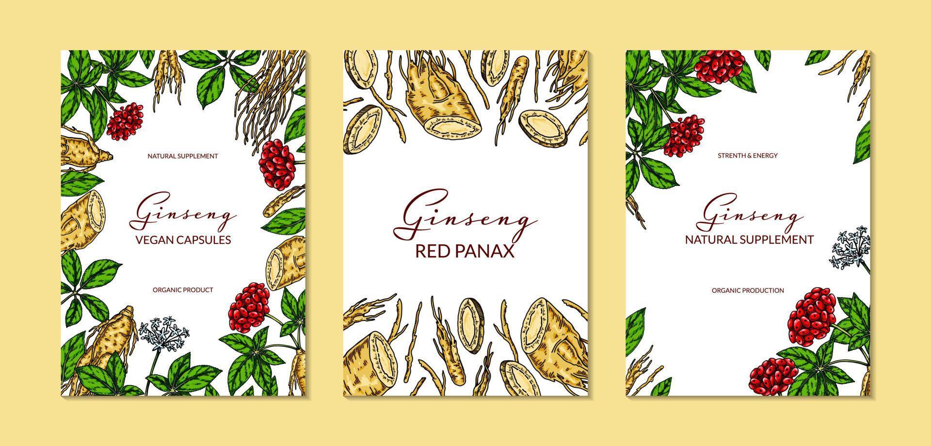Set of ginseng colorful vertical designs. Hand drawn botanical vector illustration in sketch style. Can be used for packaging, label, badge. Herbal medicine background