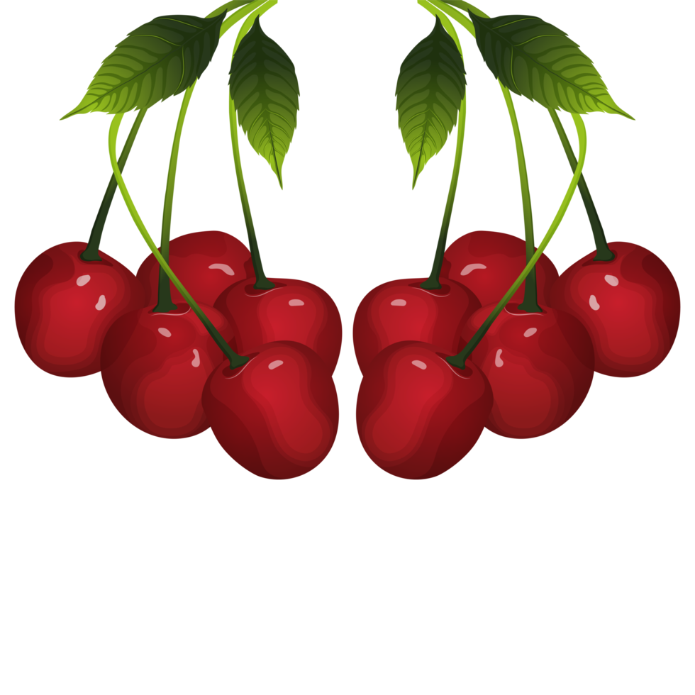 Creative berry for thanksgiving png