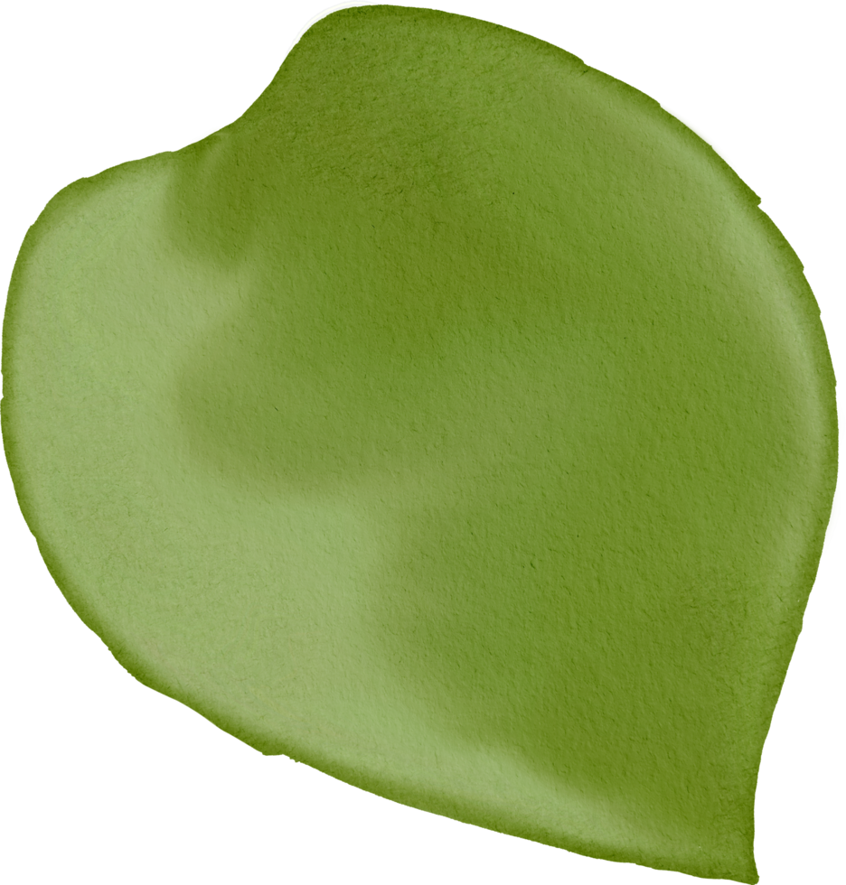 watercolour green leaf png