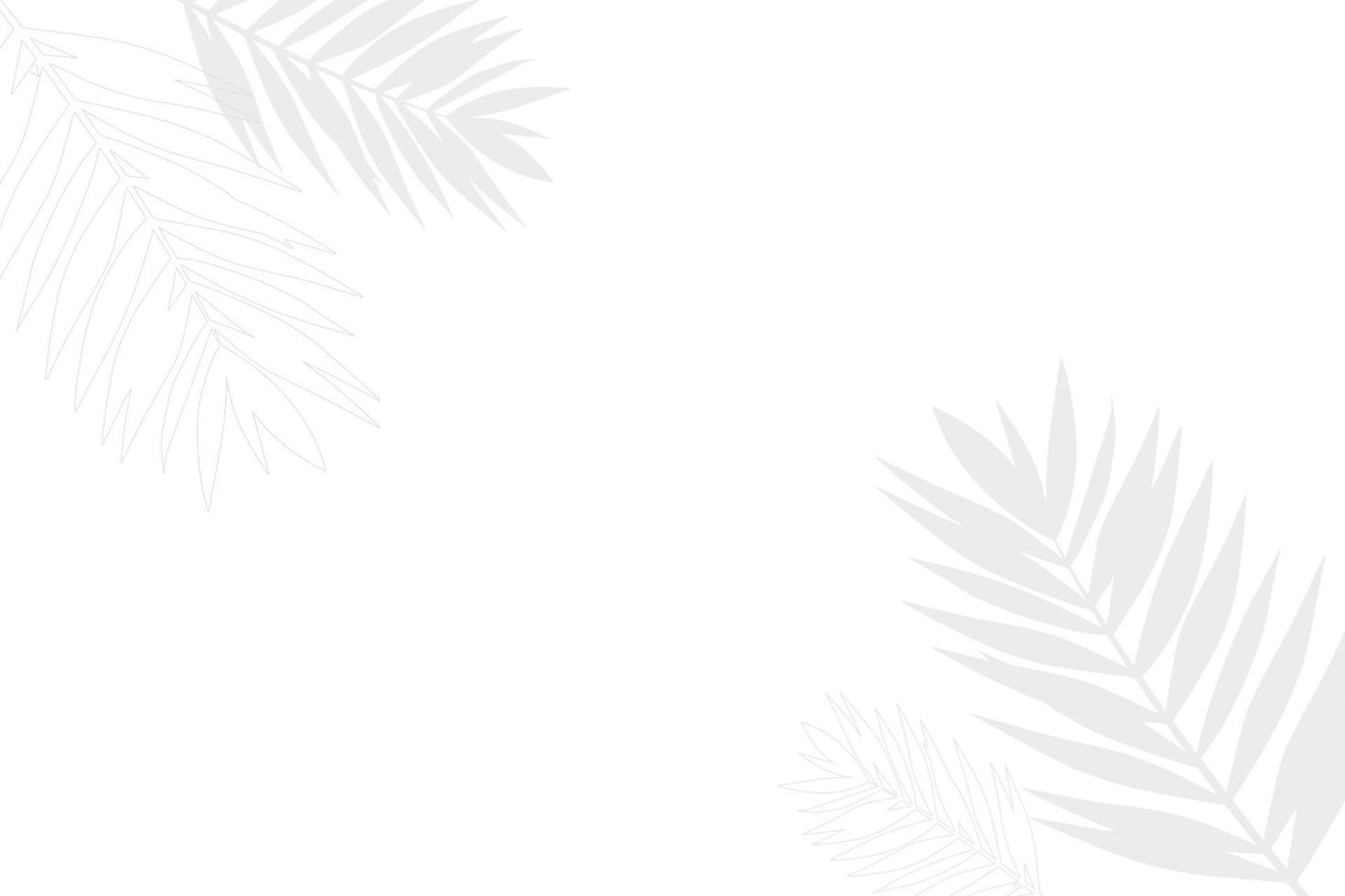 White background with gray outline of palm branches, horizontal background, shadow from palm leaves vector