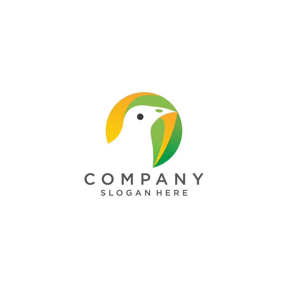 Bird  logo vector icon design template