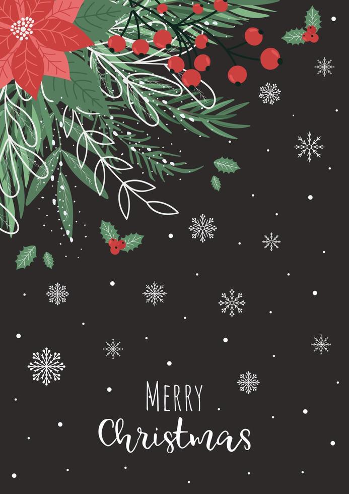 Christmas card with poinsettia flower, branches, leaves and snow. Vector