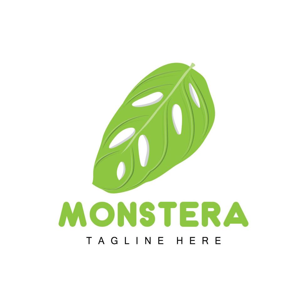 logotipo de hoja de monstera adansonii, vector de planta verde, vector de árbol, ilustración de hoja rara