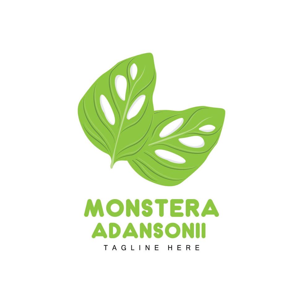 logotipo de hoja de monstera adansonii, vector de planta verde, vector de árbol, ilustración de hoja rara