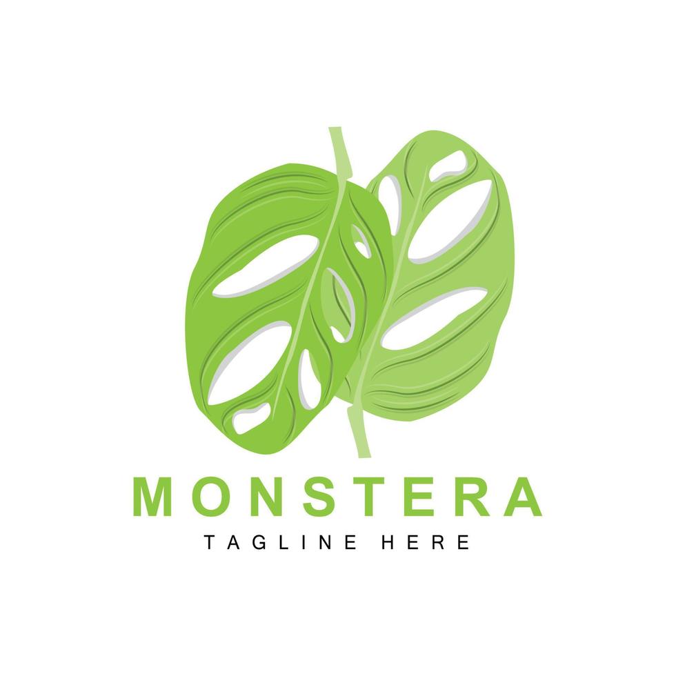 logotipo de hoja de monstera adansonii, vector de planta verde, vector de árbol, ilustración de hoja rara