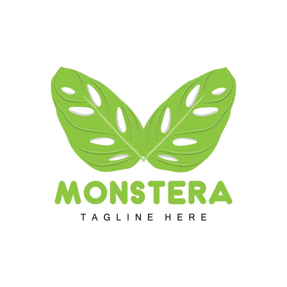 logotipo de hoja de monstera adansonii, vector de planta verde, vector de árbol, ilustración de hoja rara