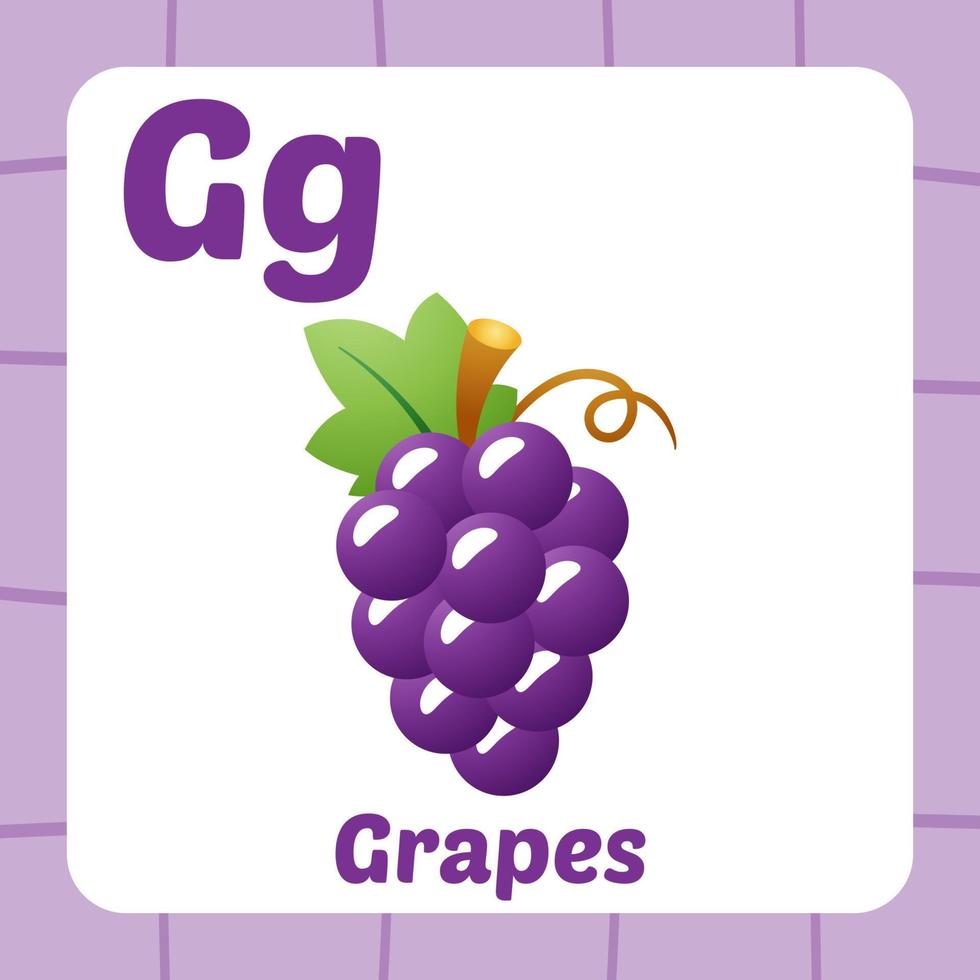 flashcard for kids, grapes vector 13932773 Vector Art at Vecteezy