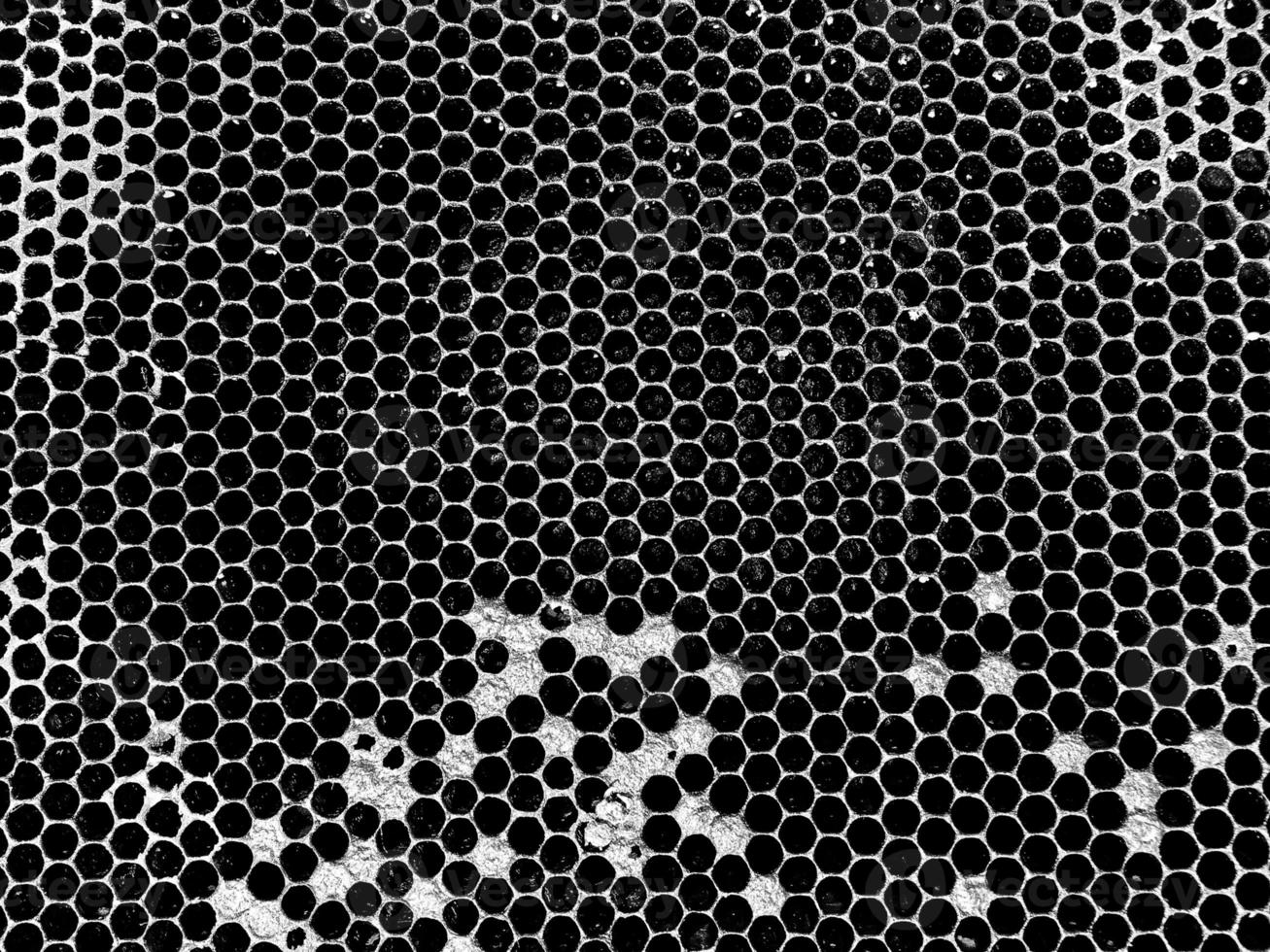 Abstract hexagon structure is honeycomb from bee hive photo