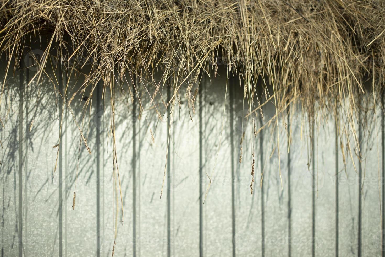 Hay in village. Hay and fence. Details of countryside. photo