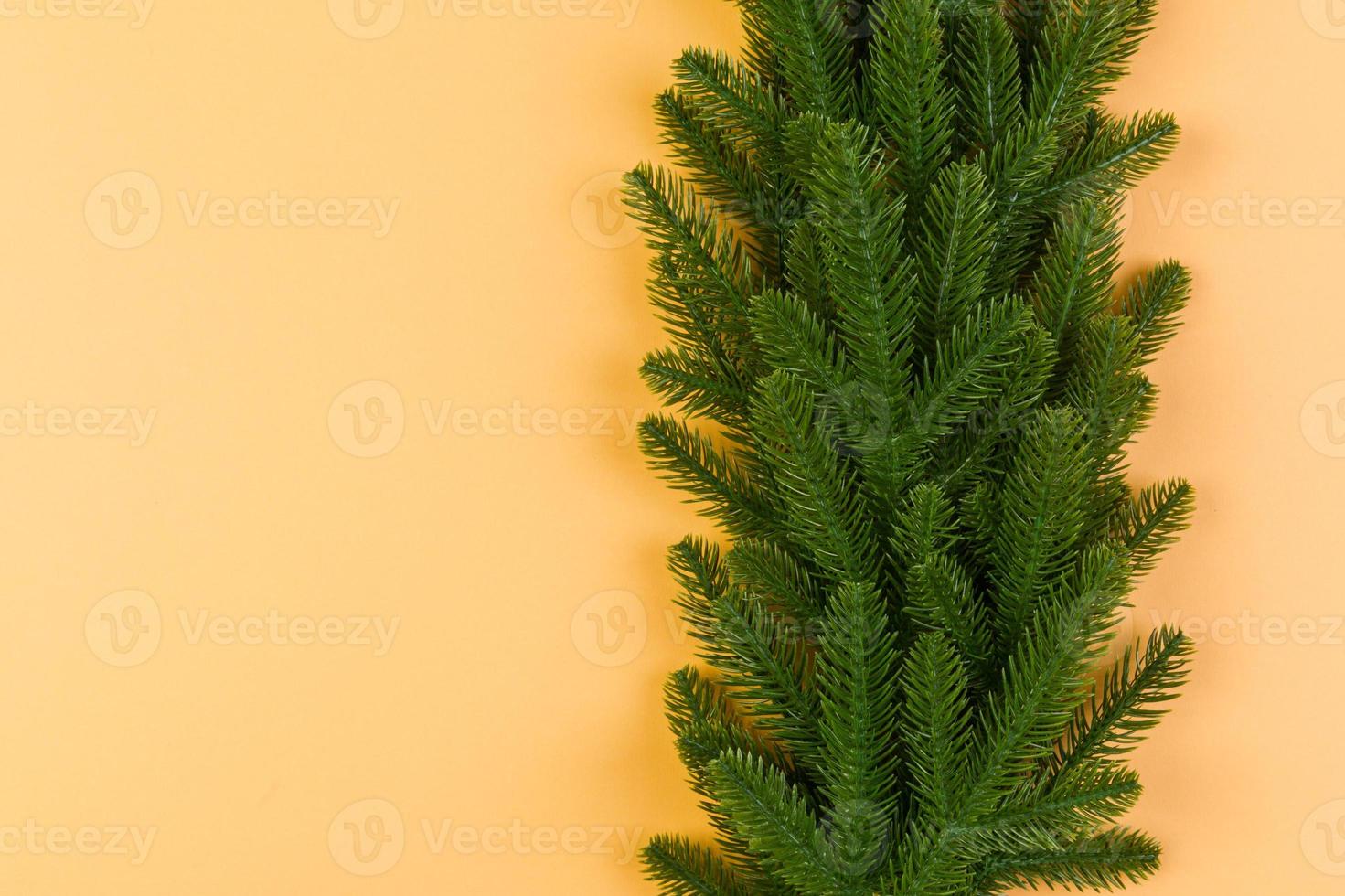 Top view of frame made of fir tree on colorful background with copy space. Merry Christmas concept photo