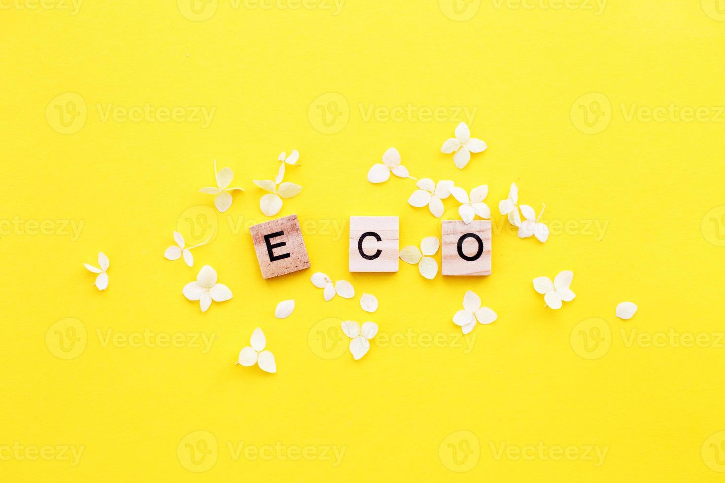 Eco word written from a wooden cubes with letters on yellow background with a petals of a hydrangea flowers photo