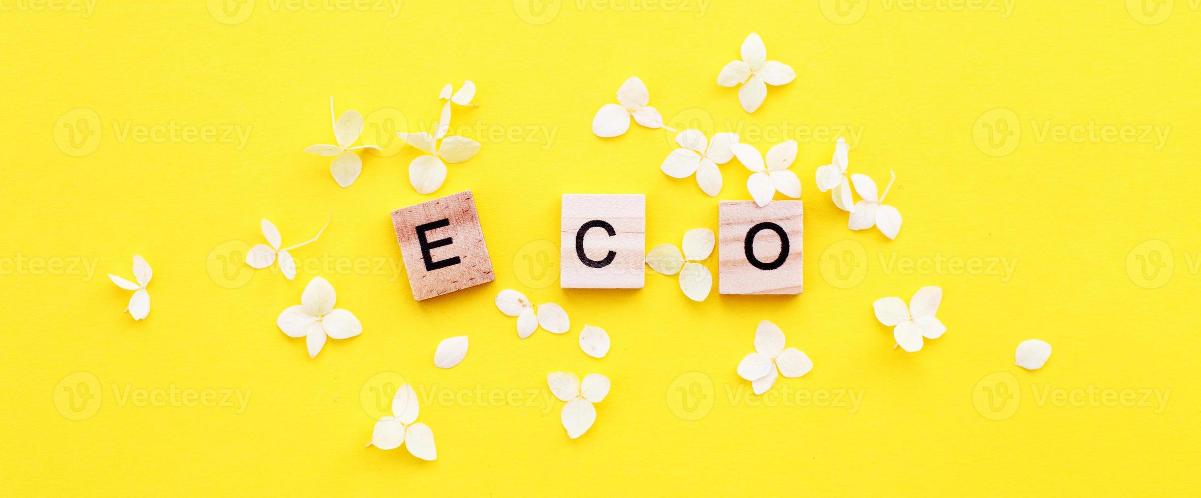 Eco word written from a wooden cubes with letters on yellow background with a petals of a hydrangea flowers photo