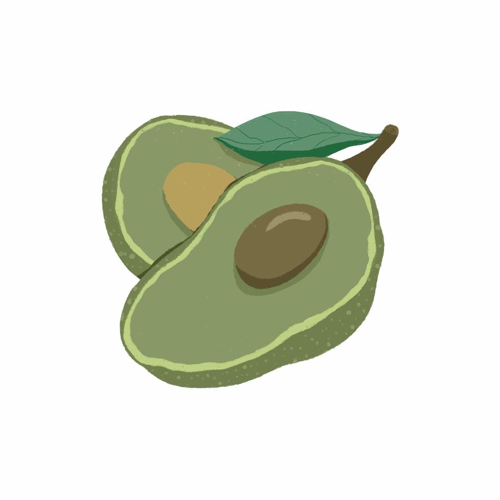 fruta fresca aguacate dibujado a mano vector